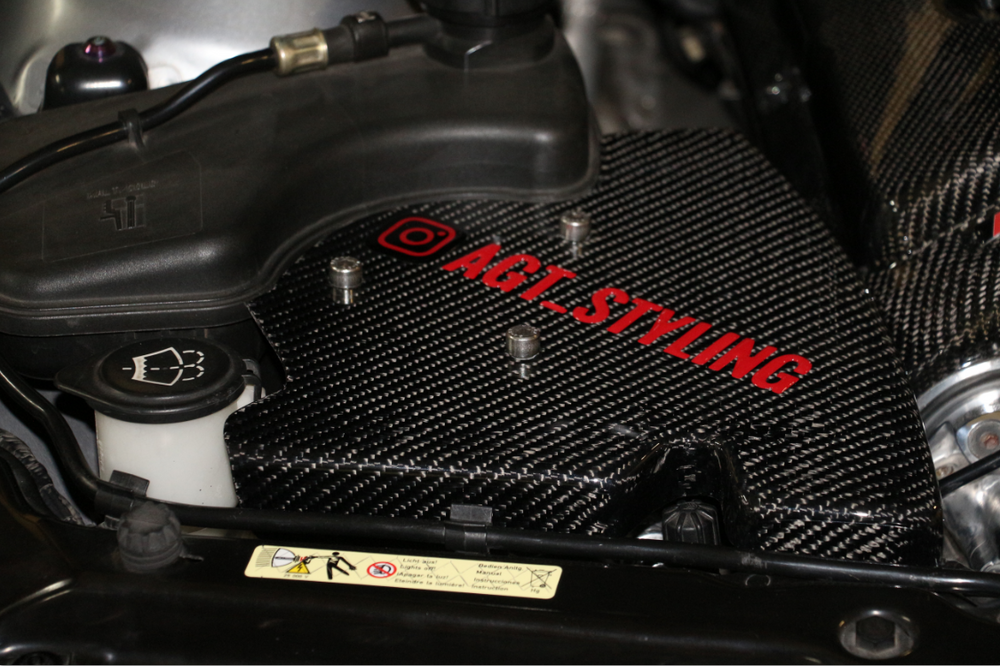 BMW E46 AGT Carbon SAP Delete kit
